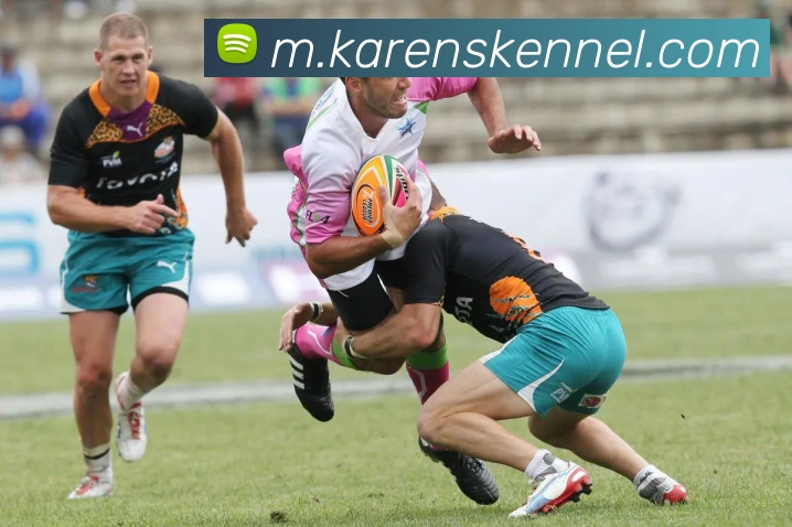 mksports最新官网APP 体育赛事宣传图